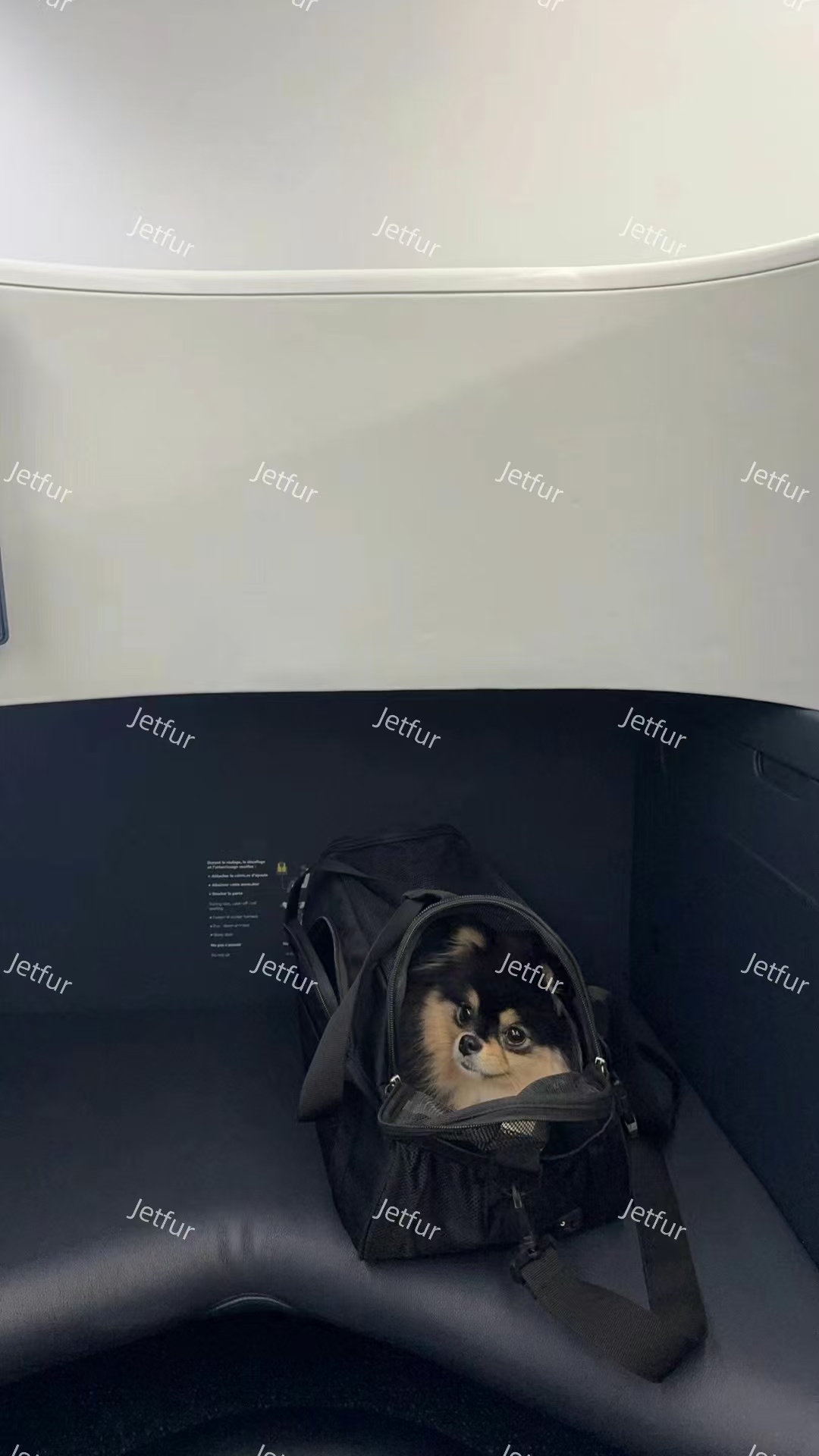 Doni travelling with JetFur